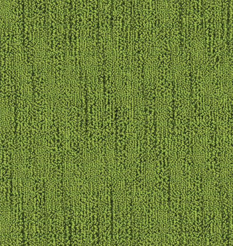 CA1265 (007)_TIMELESS (LIME)_Colorway 3_1_508DPI.png