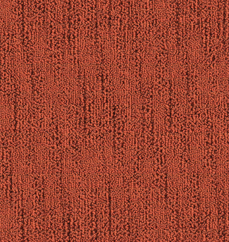 CA1265 (009)_TIMELESS (PERSIMMON)_Colorway 3_1_508DPI.png