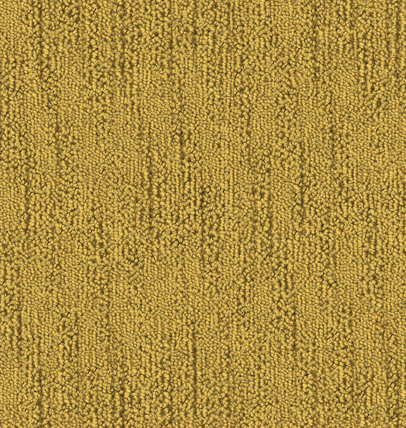 CA1265 (013)_TIMELESS (DAFFODILE)_Colorway 3_1_508DPI.png