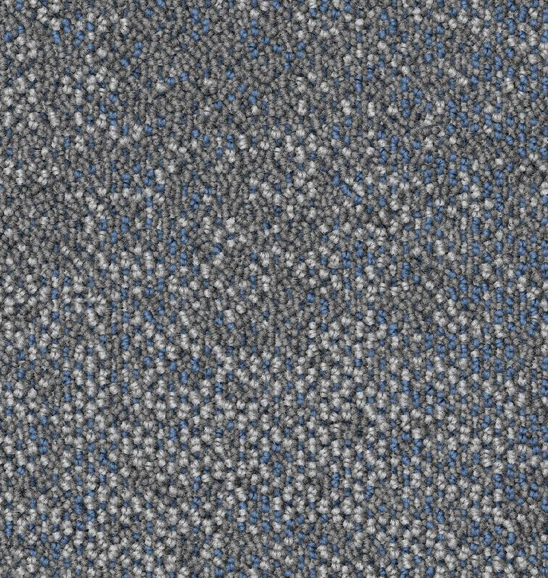 CA1408(OO2)TRANSITION_Colorway 1_1.png