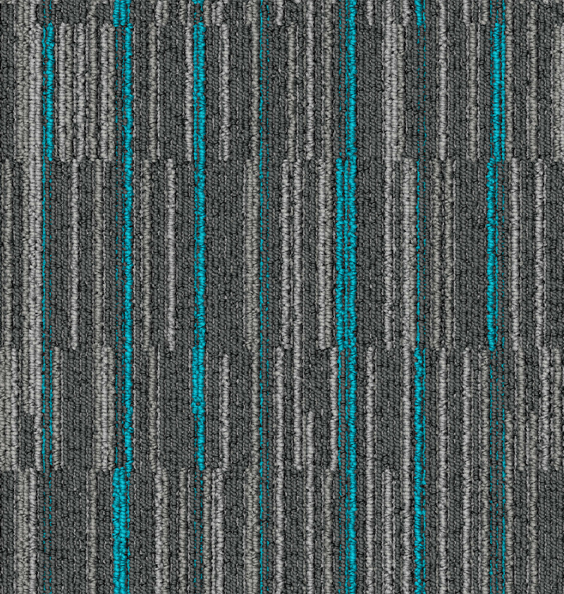 T1.jpg