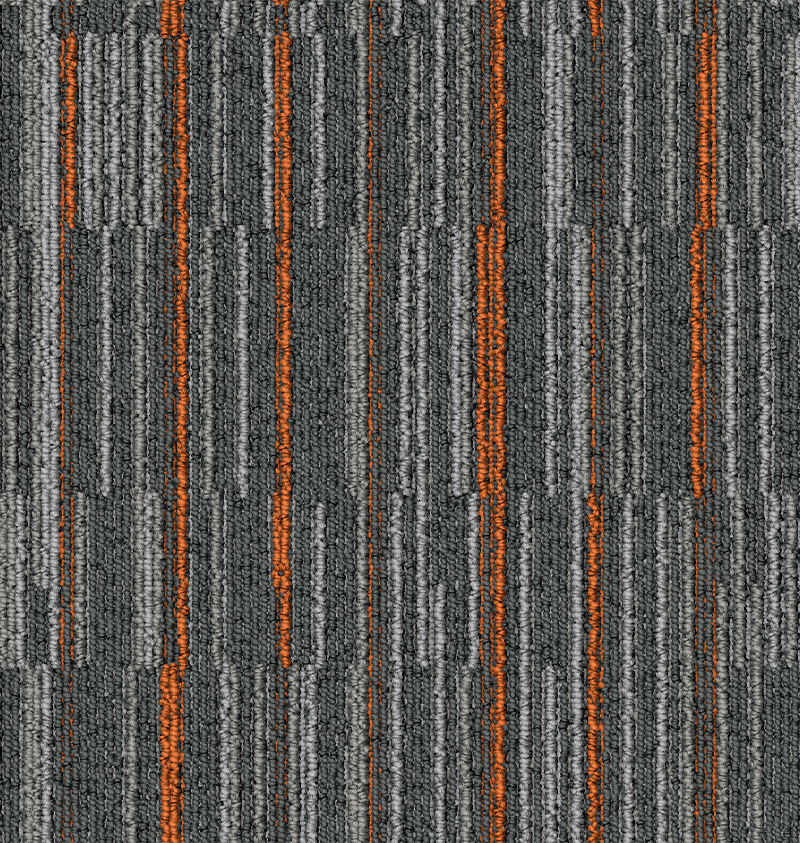 T1.jpg